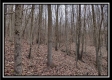Tract 5 at Number 12 Hollow property photo