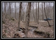 Tract 5 at Number 12 Hollow property photo