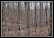 Tract 5 at Number 12 Hollow property photo