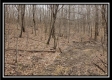 Tract 5 at Number 12 Hollow property photo