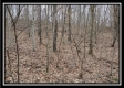 Tract 5 at Number 12 Hollow property photo
