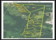 Tract 5 at Number 12 Hollow property photo