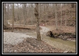 More of Tract 5 at Number 12 Hollow