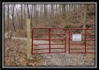 Tract 5 at Number 12 Hollow property photo