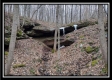 Tract 5 at Number 12 Hollow property photo