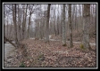 Tract 5 at Number 12 Hollow property photo