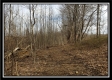 Tract 2 The Ol' Swimmin' Hole at Camp Creek Retreat property photo