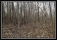 Tract 2 The Ol' Swimmin' Hole at Camp Creek Retreat property photo
