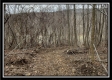 Tract 2 The Ol' Swimmin' Hole at Camp Creek Retreat property photo
