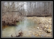 More of Tract 2 The Ol' Swimmin' Hole at Camp Creek Retreat