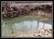 Tract 7 at Camp Creek Retreat property photo