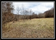 Tract 7 at Camp Creek Retreat property photo