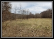 Tract 7 at Camp Creek Retreat property photo