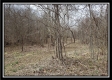 Tract 7 at Camp Creek Retreat property photo