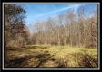 More of Tract 7 at Camp Creek Retreat