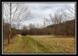 More of Tract 7 at Camp Creek Retreat