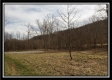 More of Tract 7 at Camp Creek Retreat