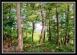 Hampton View Cabin property photo