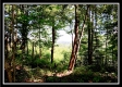 Hampton View Cabin property photo