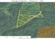 Hampton View Cabin property photo