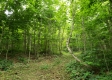 Tract 4 at Camp Creek Retreat property photo