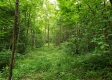 Tract 4 at Camp Creek Retreat property photo