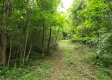 Tract 4 at Camp Creek Retreat property photo