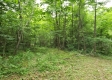Tract 4 at Camp Creek Retreat property photo