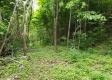 Tract 4 at Camp Creek Retreat property photo