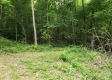 Tract 4 at Camp Creek Retreat property photo