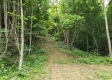 Tract 4 at Camp Creek Retreat property photo