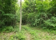 Tract 4 at Camp Creek Retreat property photo