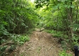 Tract 4 at Camp Creek Retreat property photo