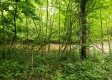 More of Tract 4 at Camp Creek Retreat