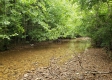 More of Tract 4 at Camp Creek Retreat