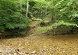 More of Tract 4 at Camp Creek Retreat