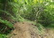 Tract 4 at Camp Creek Retreat property photo