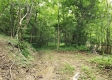 Tract 4 at Camp Creek Retreat property photo