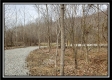 Camp Creek Getaway - Tract 6 property photo