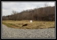 Camp Creek Getaway - Tract 6 property photo