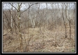 Camp Creek Getaway - Tract 6 property photo