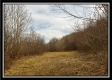 More of Camp Creek Getaway - Tract 6