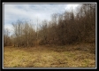 Camp Creek Getaway - Tract 6 property photo
