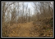 Camp Creek Getaway - Tract 6 property photo