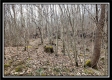 Camp Creek Getaway - Tract 6 property photo