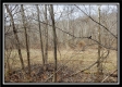 Camp Creek Getaway - Tract 6 property photo