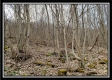 Camp Creek Getaway - Tract 6 property photo
