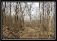 Camp Creek Getaway - Tract 6 property photo