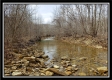 More of Camp Creek Getaway - Tract 6