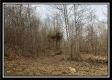 Camp Creek Getaway - Tract 6 property photo
